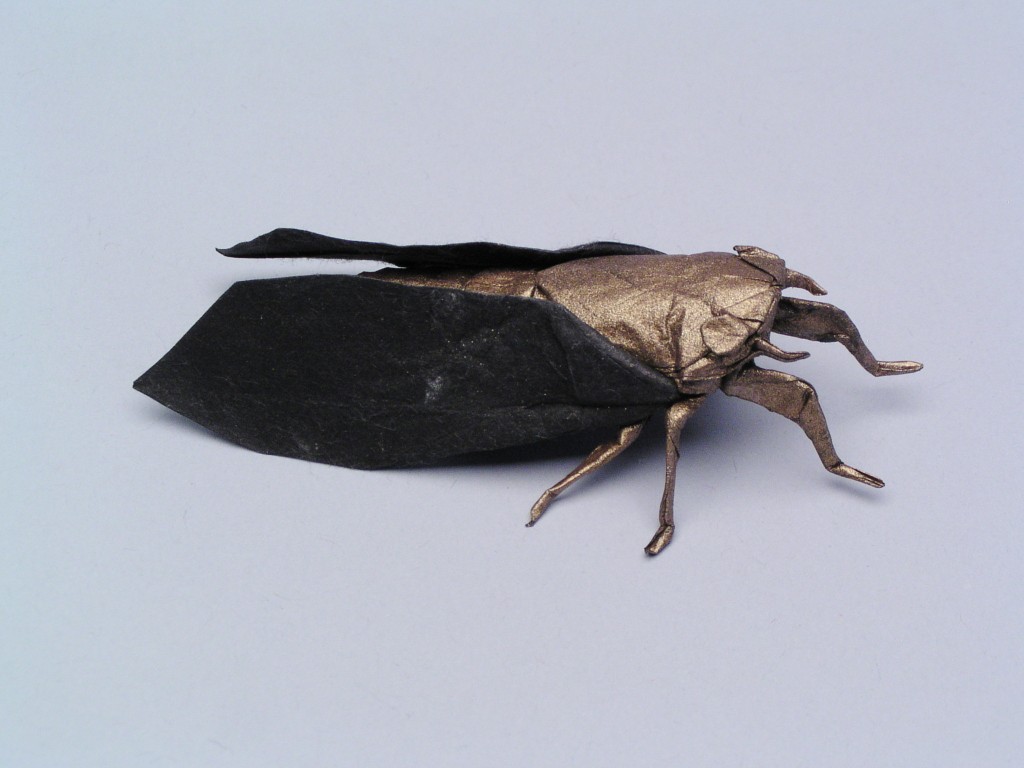 Periodical Cicada Opus 377